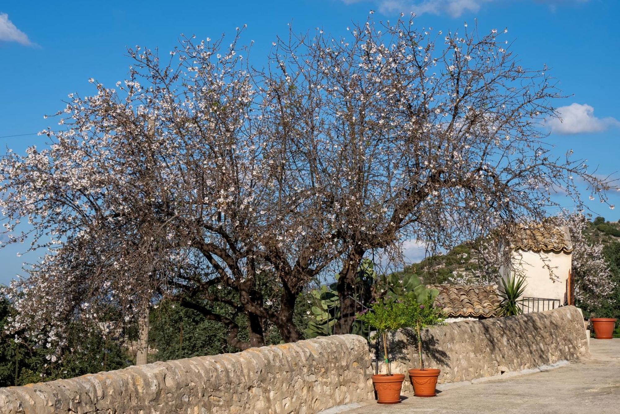 Ferienwohnung La Dimora Delle Coste Comiso Exterior foto